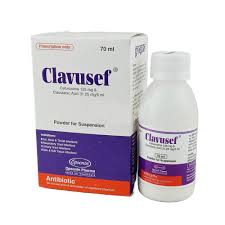 Clavusef syrup